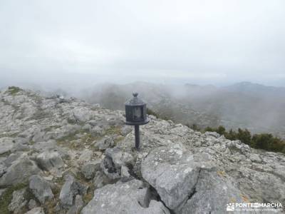 Hayedos Rioja Alavesa-Sierra de Toloño;viajes aventura baratos punto viajes monachil senderismo rasc